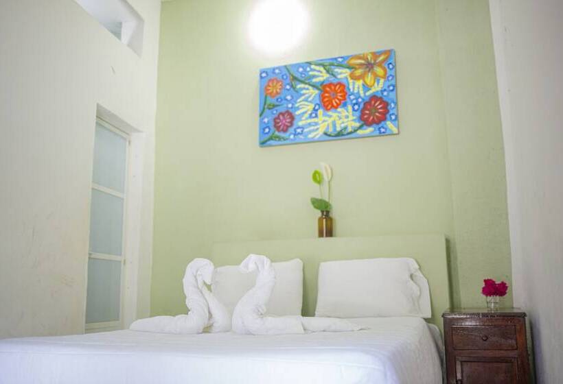 Номер Стандарт, Posada San Jose