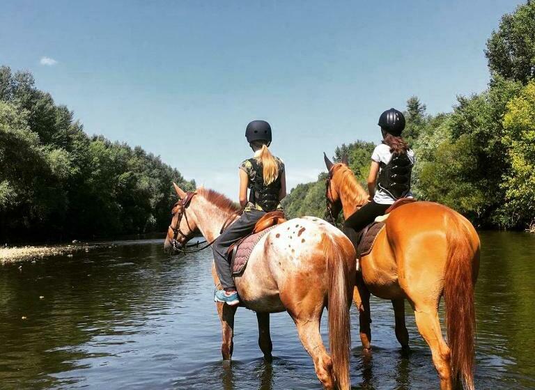 패밀리 스위트, Rezort U Bobiho