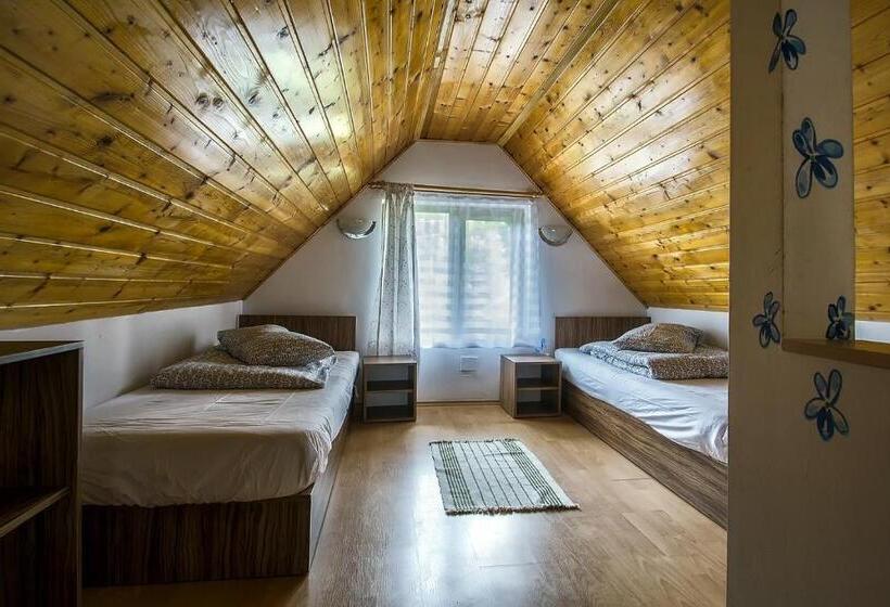 סוויטת דופלקס, Vilele Superski