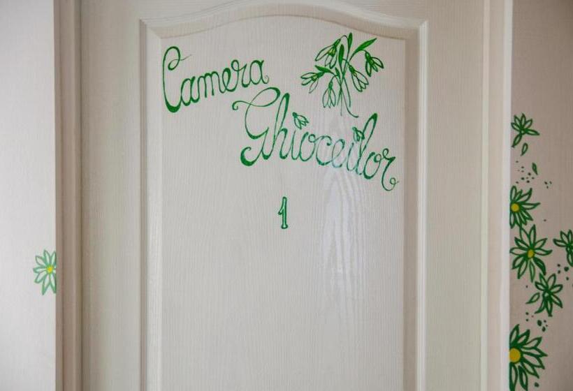 غرفة أساسية, Vilele Superski