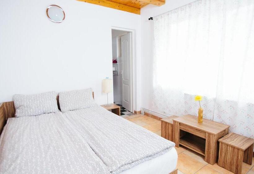 غرفة أساسية, Vilele Superski