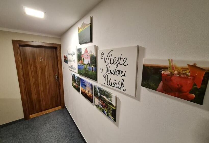 חדר סטנדרט, Pension Růžák