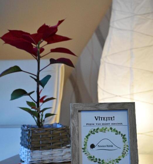 בית, חדר שינה 1, Pension Růžák