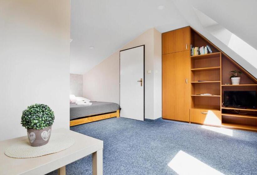 חדר בסיסי, Pension Růžák