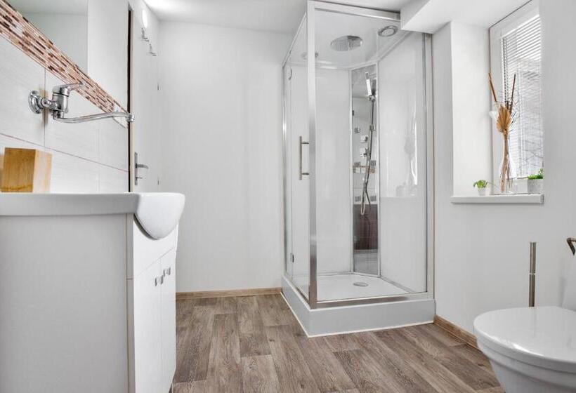 חדר בסיסי, Pension Růžák