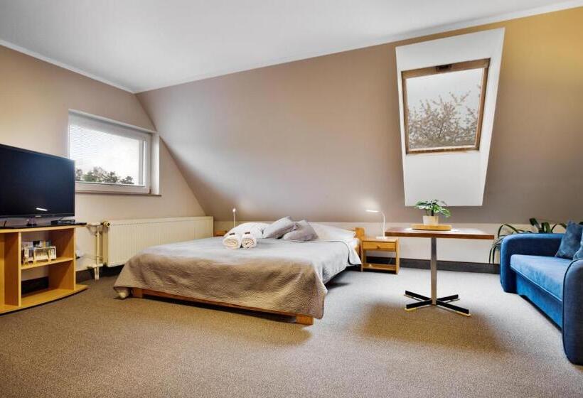 חדר סטנדרט, Pension Růžák