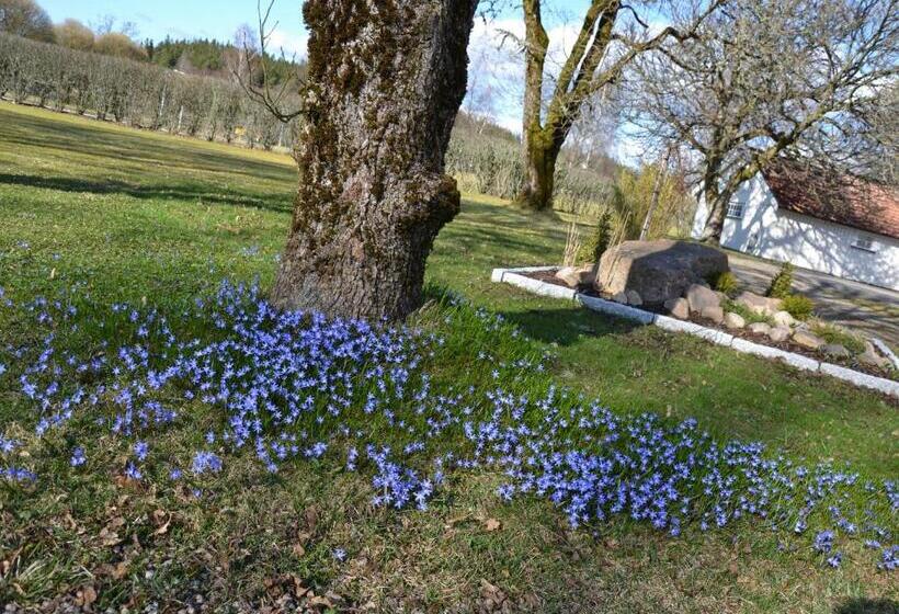 2间卧室的房子, Mandy's Inn