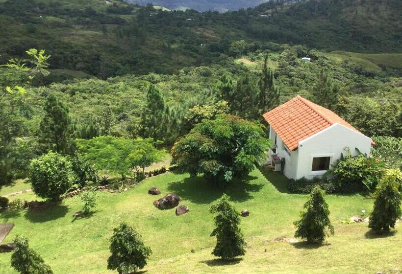 غرفة سوبيريور, Hawk's Nest Bed & Breakfast