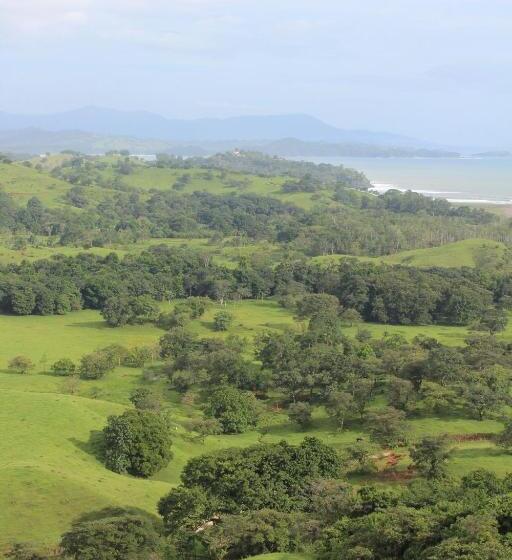 غرفة سوبيريور مزوَّدة بتراس, El Sol Morrillo