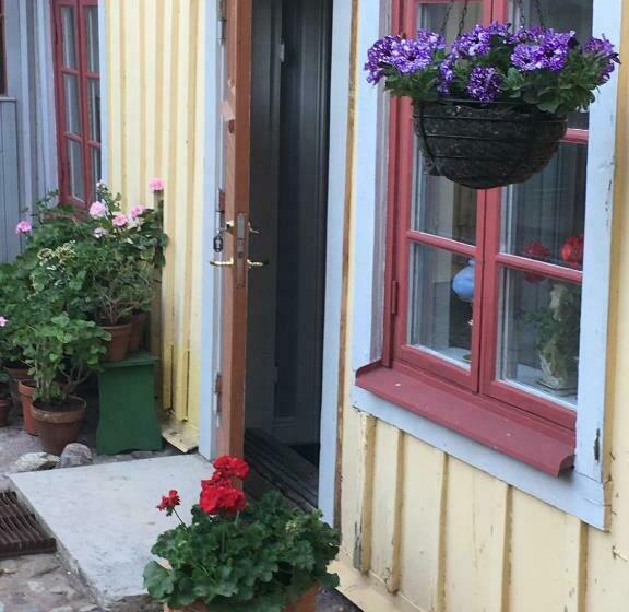 شقة غرفة واحدة, One Room Bed & Breakfast