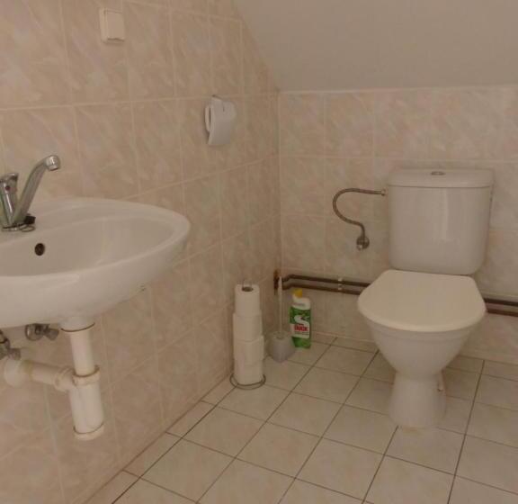 جناح سوبيريور, Bizoní Dvůr