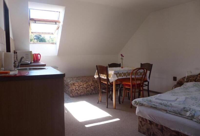 جناح سوبيريور, Bizoní Dvůr