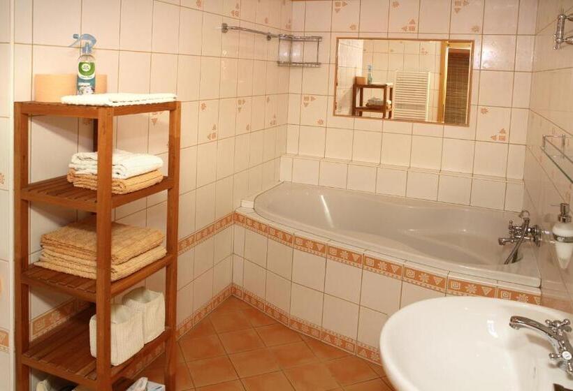 디럭스 룸, Penzion Pod Hradem