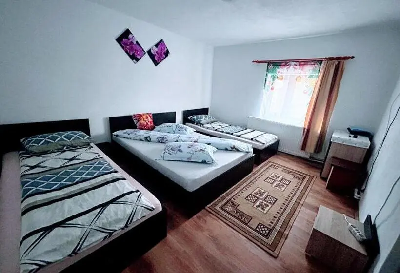 اتاق خانوادگی با سرویس بهداشتی مشترک, Casa Andreea