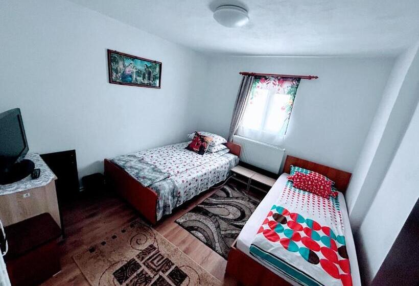 Трехместный Номер Стандарт Совместная Ванная, Casa Andreea