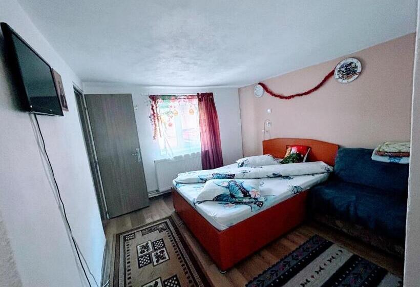 スタンダードトリプルルーム, Casa Andreea