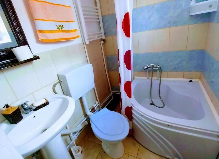 デラックスルーム, Casa Andreea