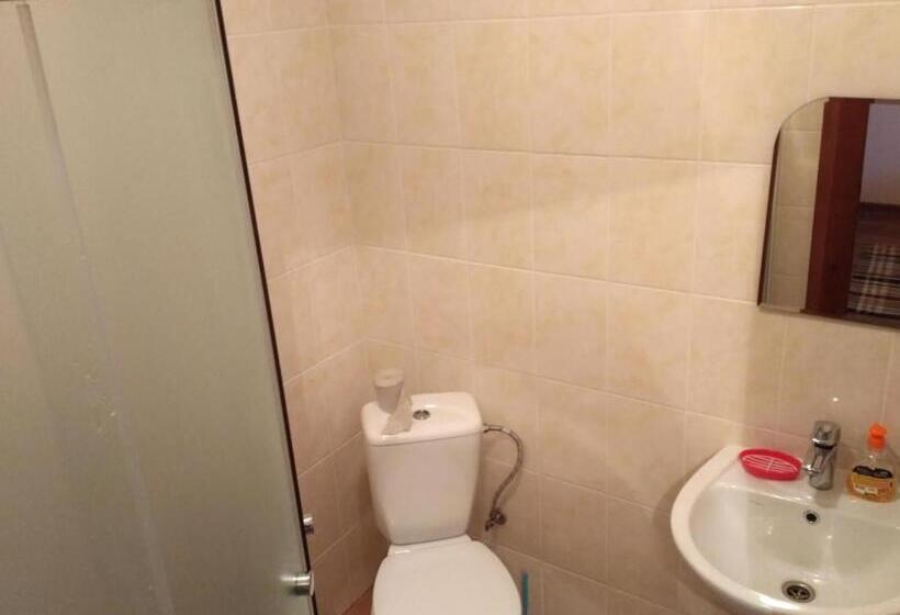 Семейное Студио, Guest House Mandrivnyi Rooms&apartments