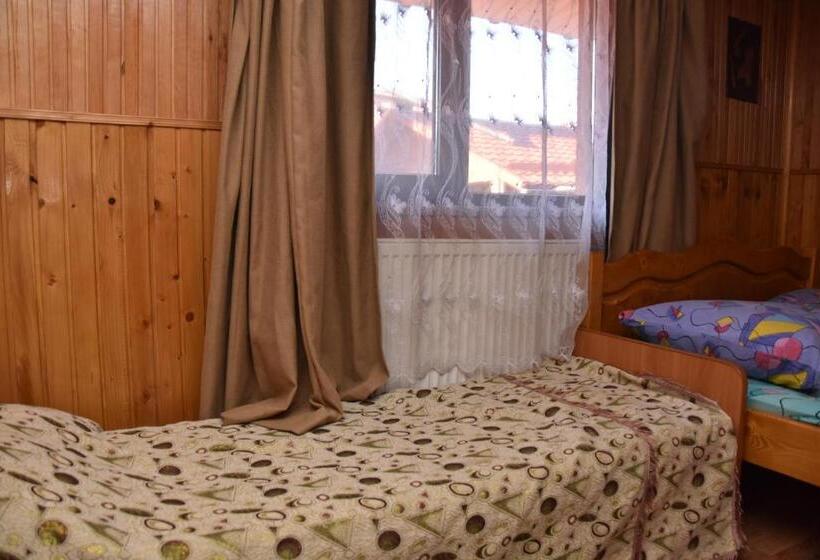 إستوديو قياسى, Guest House Mandrivnyi Rooms&apartments