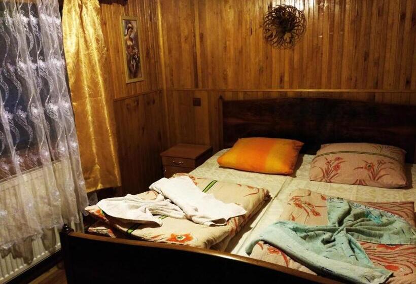 Студия Стандарт, Guest House Mandrivnyi Rooms&apartments