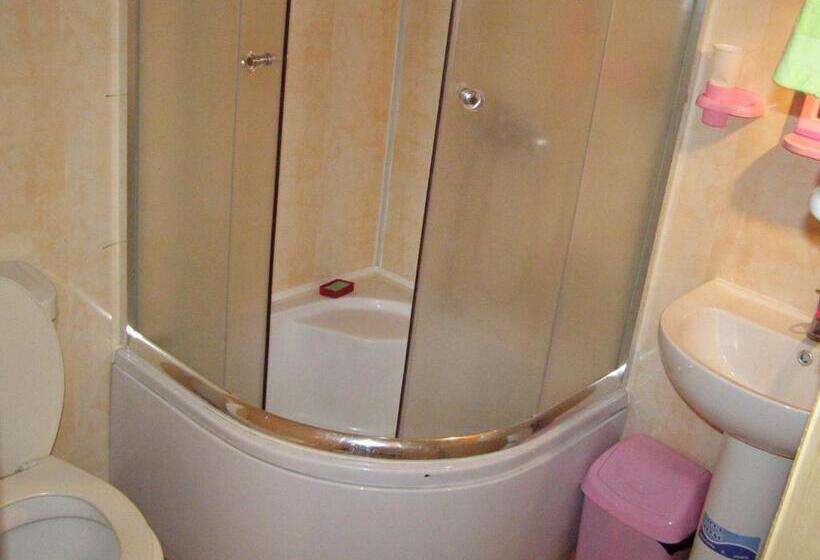 إستوديو قياسى, Guest House Mandrivnyi Rooms&apartments