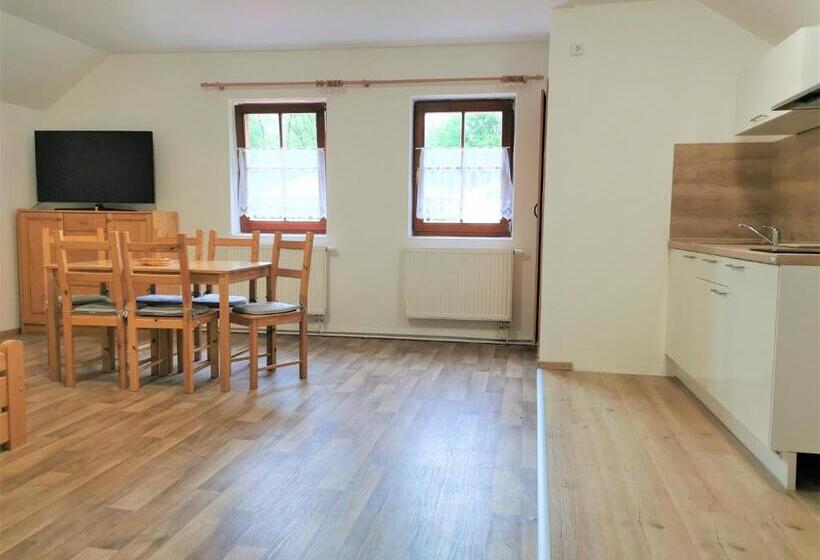 Апартаменты 1 Спальня, Penzion Liškův Mlýn