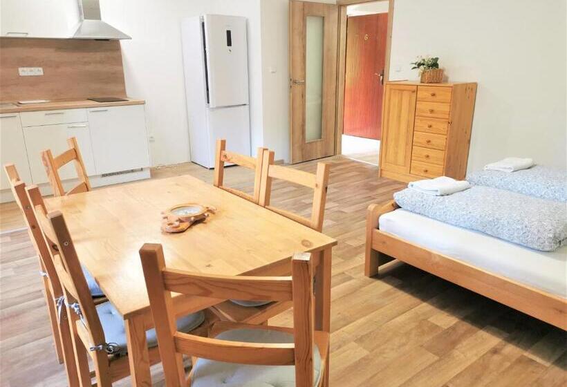 Апартаменты 1 Спальня, Penzion Liškův Mlýn