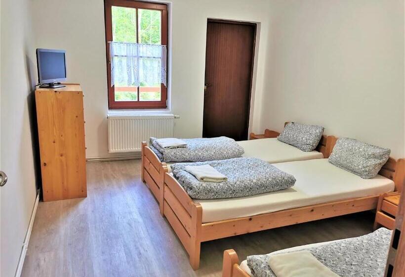 Апартаменты 1 Спальня с Балконом, Penzion Liškův Mlýn