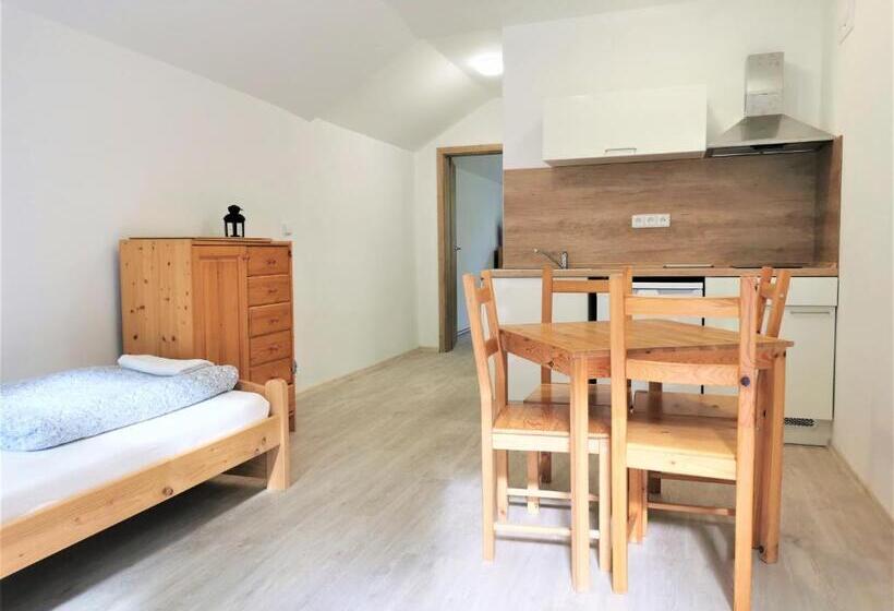 Апартаменты 1 Спальня с Балконом, Penzion Liškův Mlýn