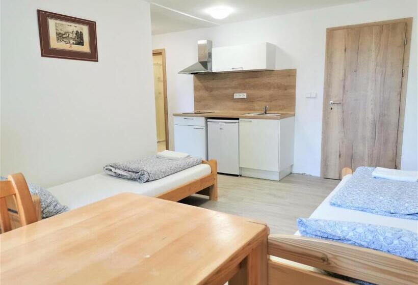 Апартаменты 1 Спальня, Penzion Liškův Mlýn