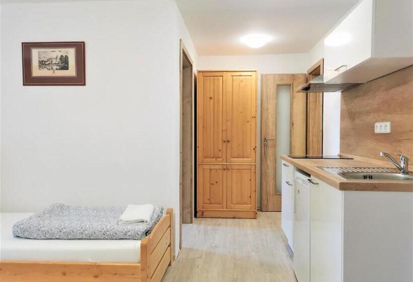 Апартаменты 1 Спальня, Penzion Liškův Mlýn