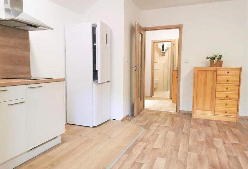 Апартаменты Superior 1 Спальня, Penzion Liškův Mlýn