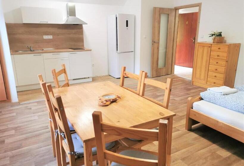 Апартаменты Superior 1 Спальня, Penzion Liškův Mlýn