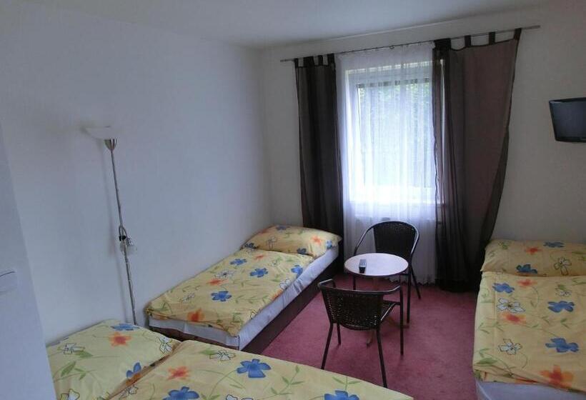 スタンダードトリプルルーム, Vila Evička