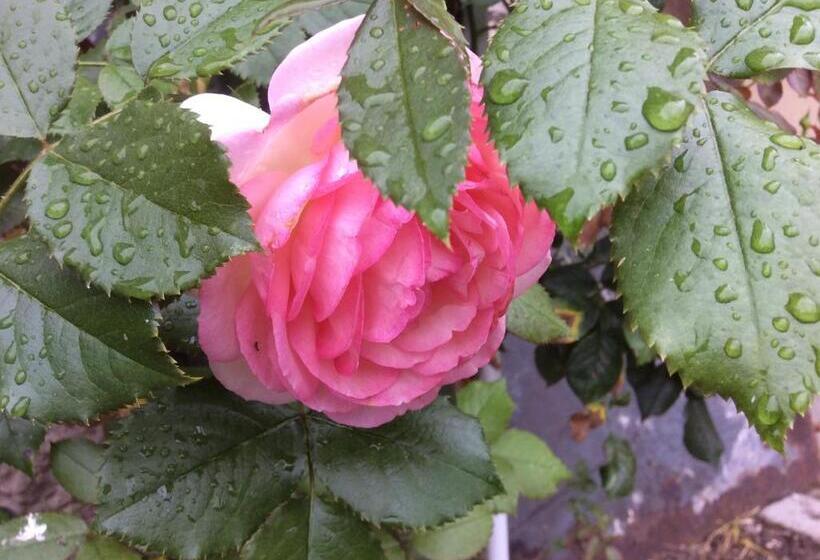 غرفة قياسية, Chambres D'hôtes Les Templiers