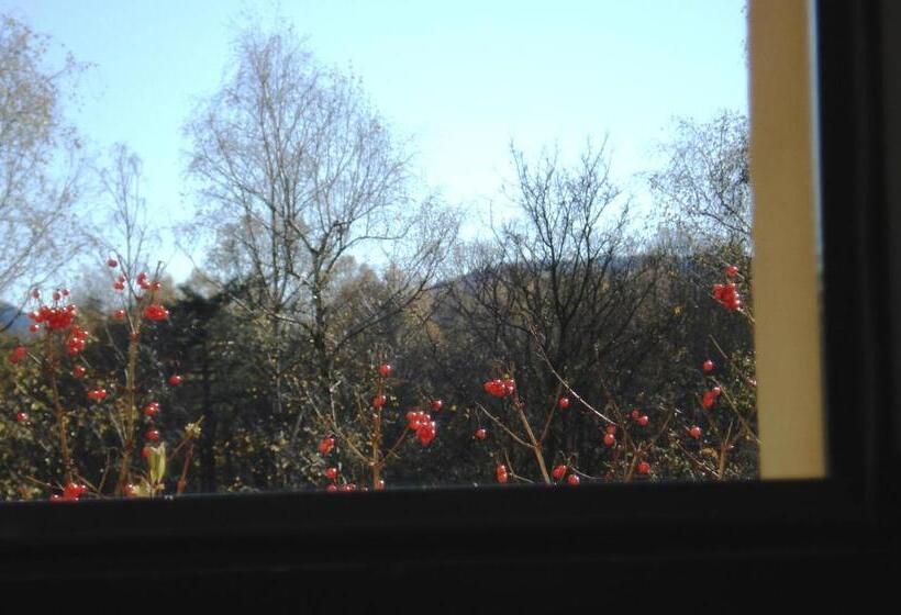 Номер Superior, Albergo Della Posta