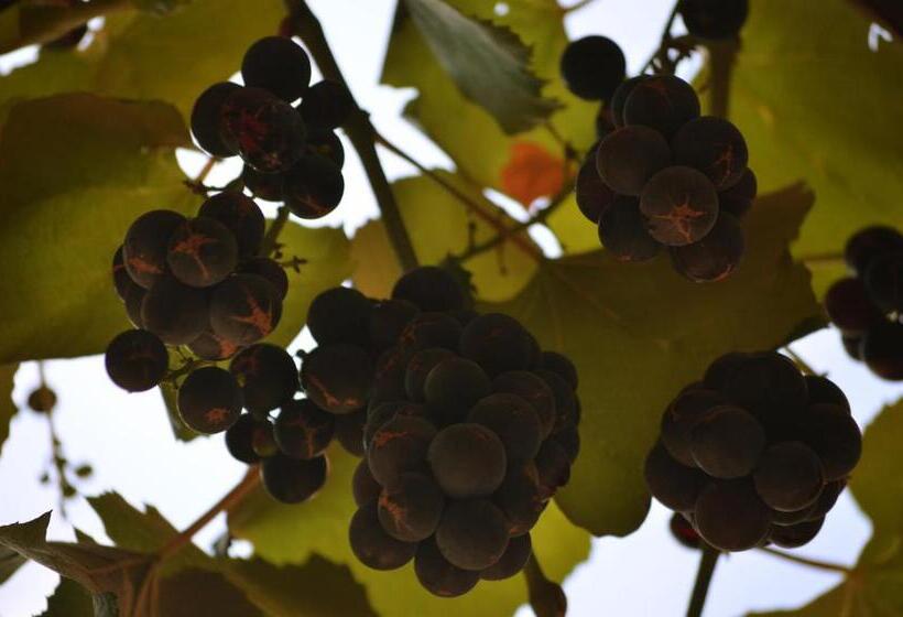 Апартаменты 1 Спальня, Albergo Della Posta