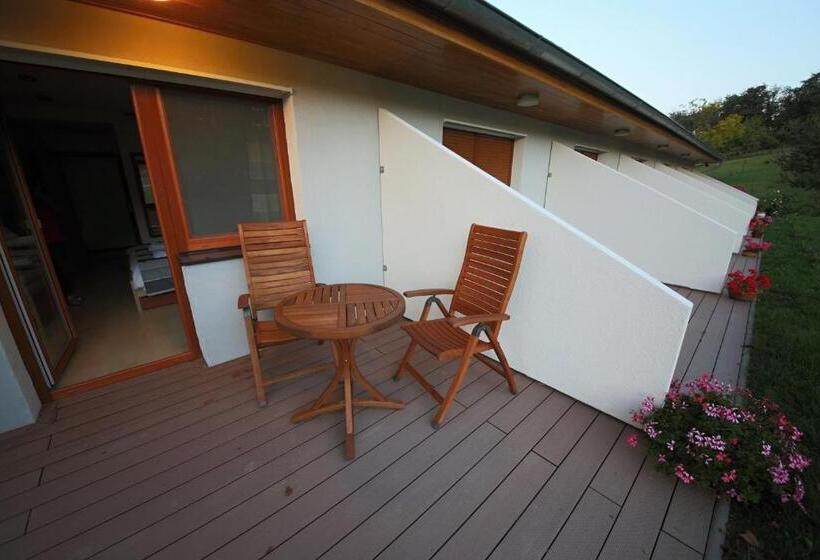 テラス付きスタンダードルーム, Penzion Proneco