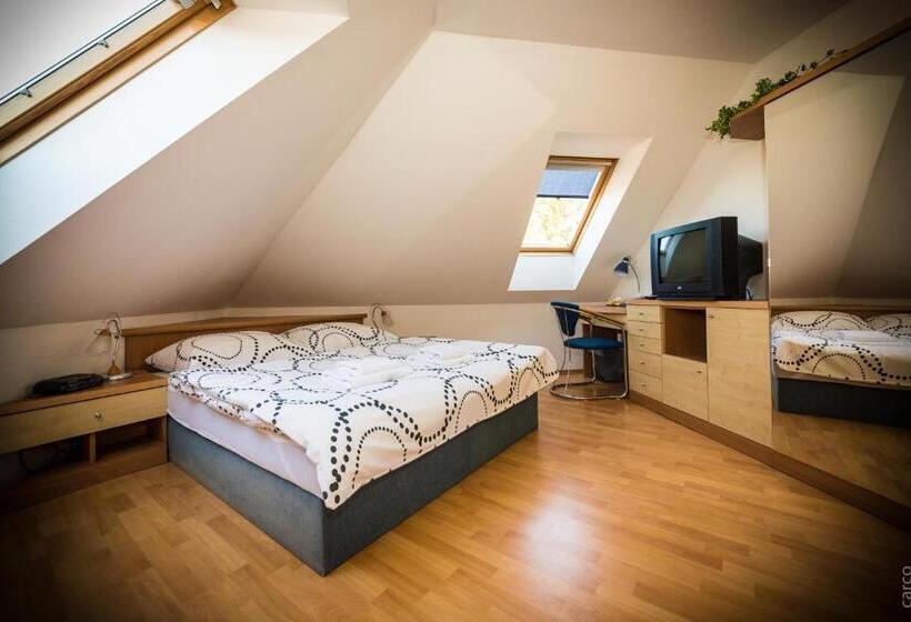 ペントハウスルーム, Penzion Proneco