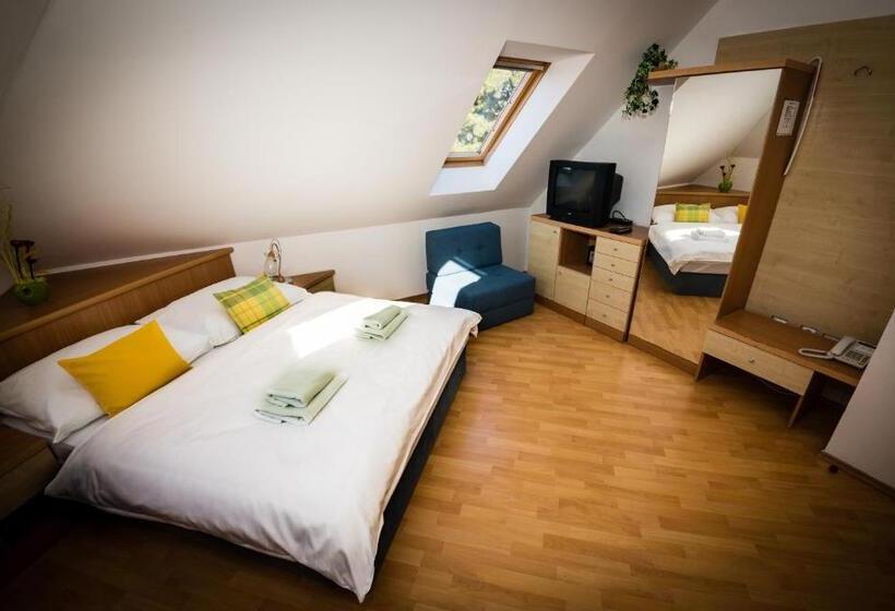 ペントハウスルーム, Penzion Proneco