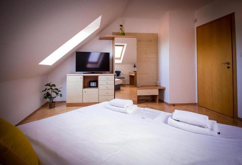 ペントハウスルーム, Penzion Proneco