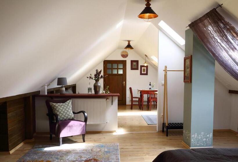 חדר סטודיו סטנדרד, Vadlány Vendégház