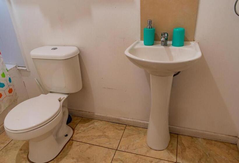 Апартаменты 1 Спальня, Cabañas Hostel Aquario Papudo