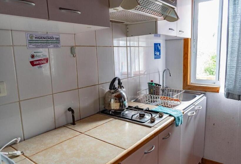 شقة غرفة واحدة, Cabañas Hostel Aquario Papudo
