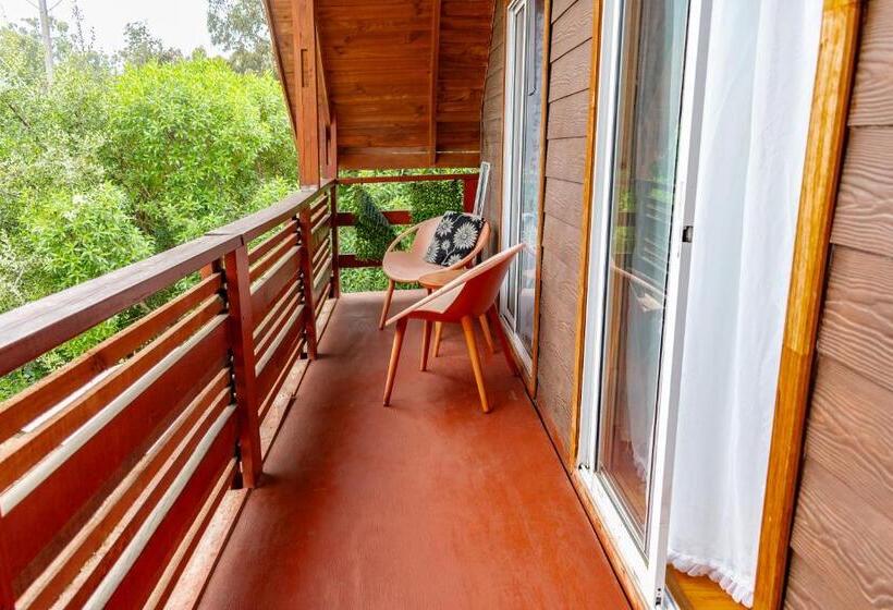 جناح مزود بتراس, Cabañas Hostel Aquario Papudo