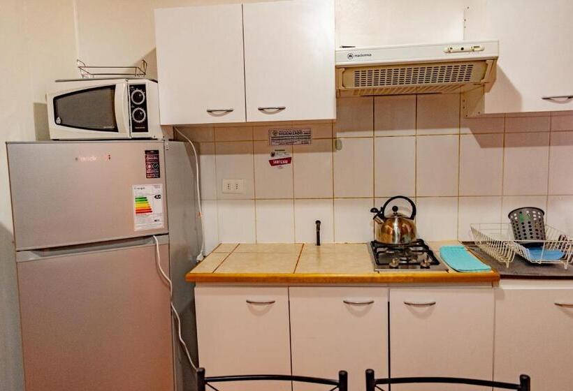 Апартаменты 1 Спальня, Cabañas Hostel Aquario Papudo