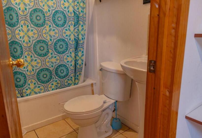 شقة غرفة واحدة, Cabañas Hostel Aquario Papudo