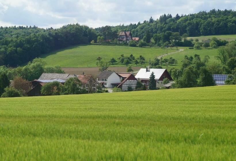 Студио Базик, Bolderhof