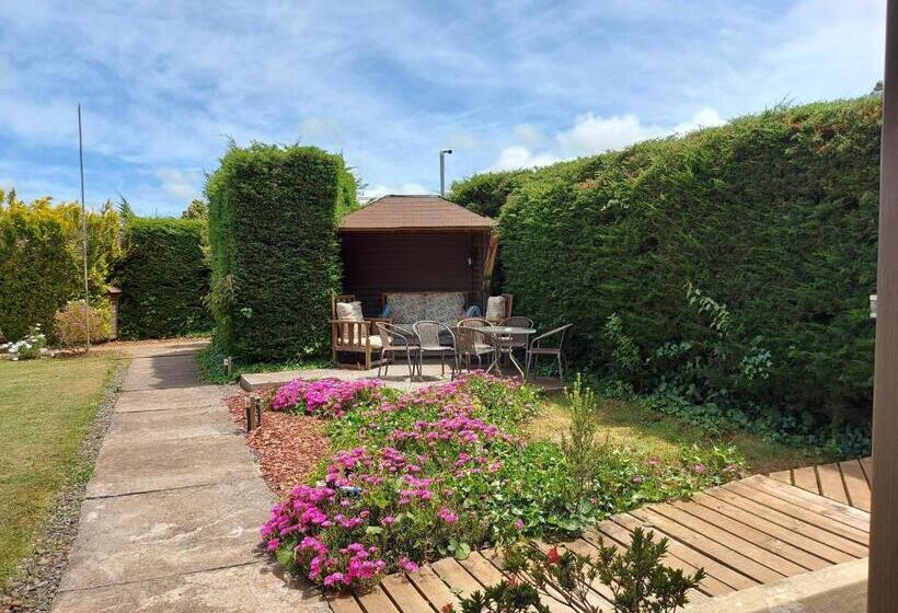 חדר סטנדרט, Complejo Pehuen Lago Lanalhue