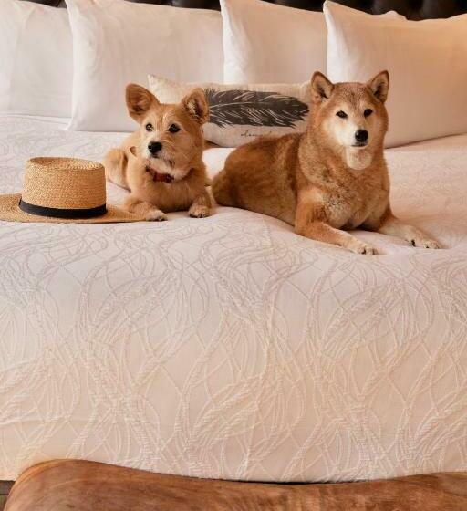 Номер Стандарт Двуспальная Кровать, Olema House At Point Reyes